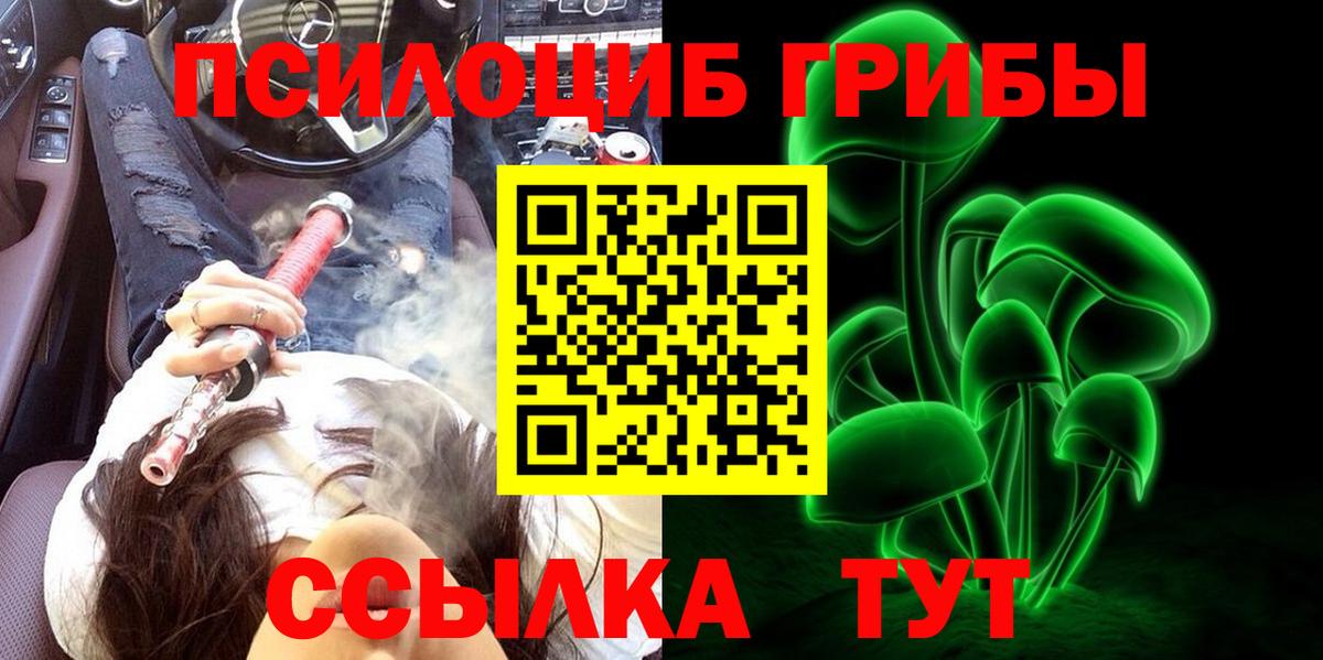 Свободный  Галлюциногенные грибы Psilocybe  Вход с VPN 